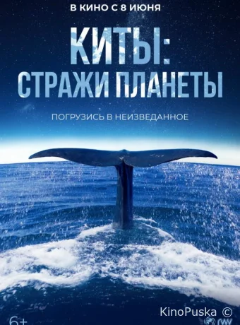 Киты: Стражи планеты