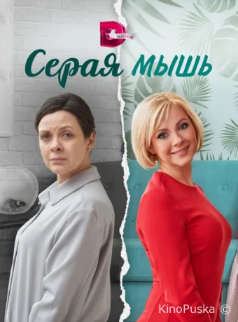 Серая мышь