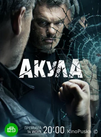 Акула