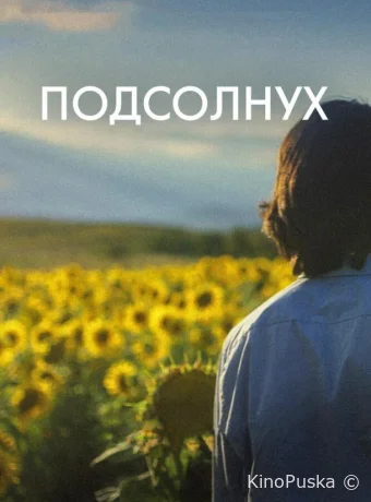 Подсолнух
