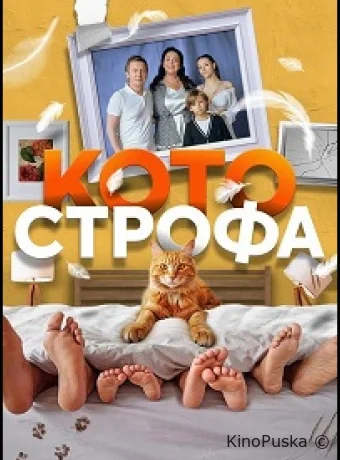 Котострофа