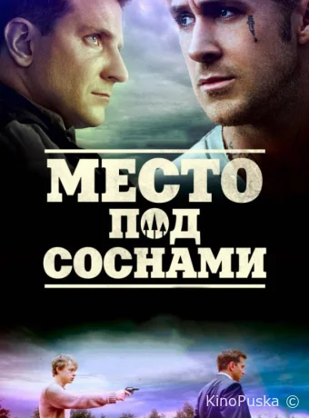 Место под соснами