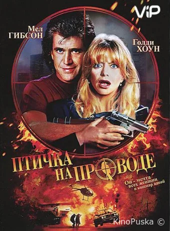 Птичка на проводе