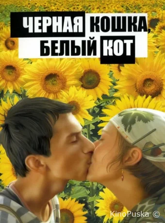 Черная кошка, белый кот