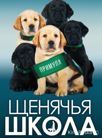 Щенячья школа