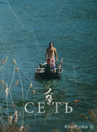 Сеть