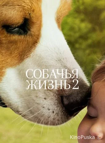 Собачья жизнь 2