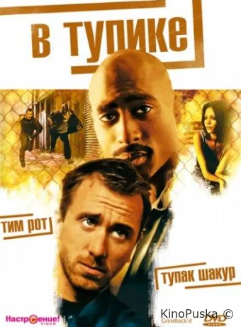 В тупике