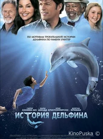 История дельфина
