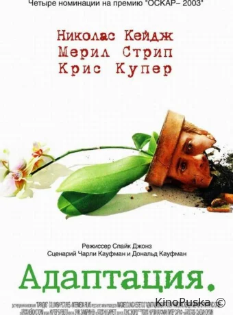 Адаптация