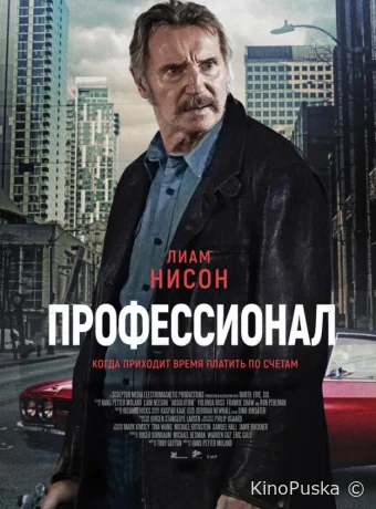 Профессионал