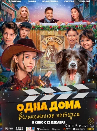 Одна дома. Великолепная пятерка