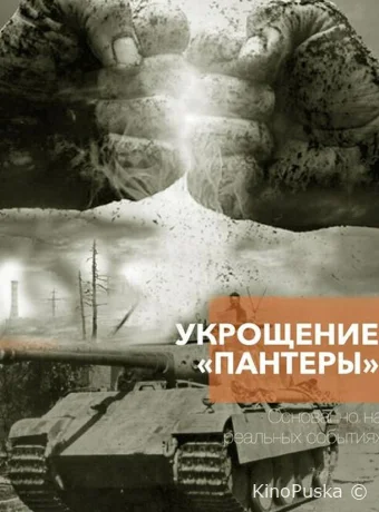 Укрощение «Пантеры»