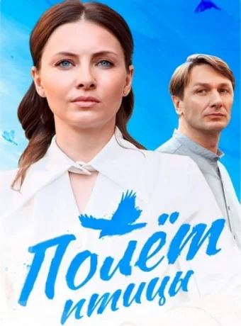 Полёт птицы